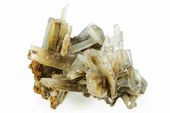 Sharp Bladed Blue Barite Cluster with Limonite - Morocco #365637